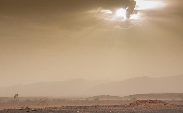 【沙塵暴預警】近10年最強沙塵天氣來襲!豐源機械提醒大家:別慌,注意防范! 【沙塵暴預警】近10年最強沙塵天氣來襲!豐源機械提醒大家:別慌,注意防范!